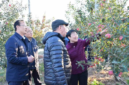 于涛：组织起来，发展壮大集体经济（全文）——烟台市推行村党支部领办合作社、全面推动乡村振兴